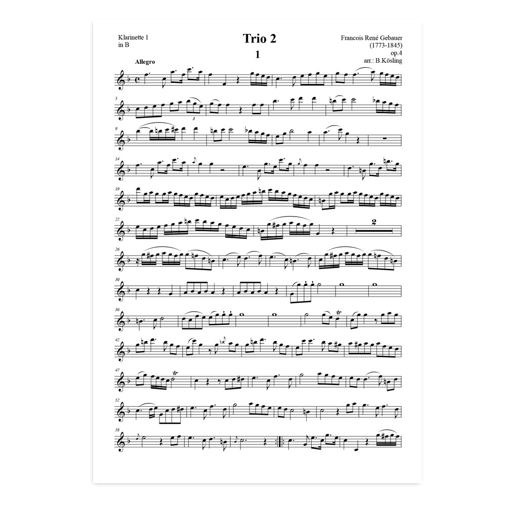 Gebauer-trio-2-01