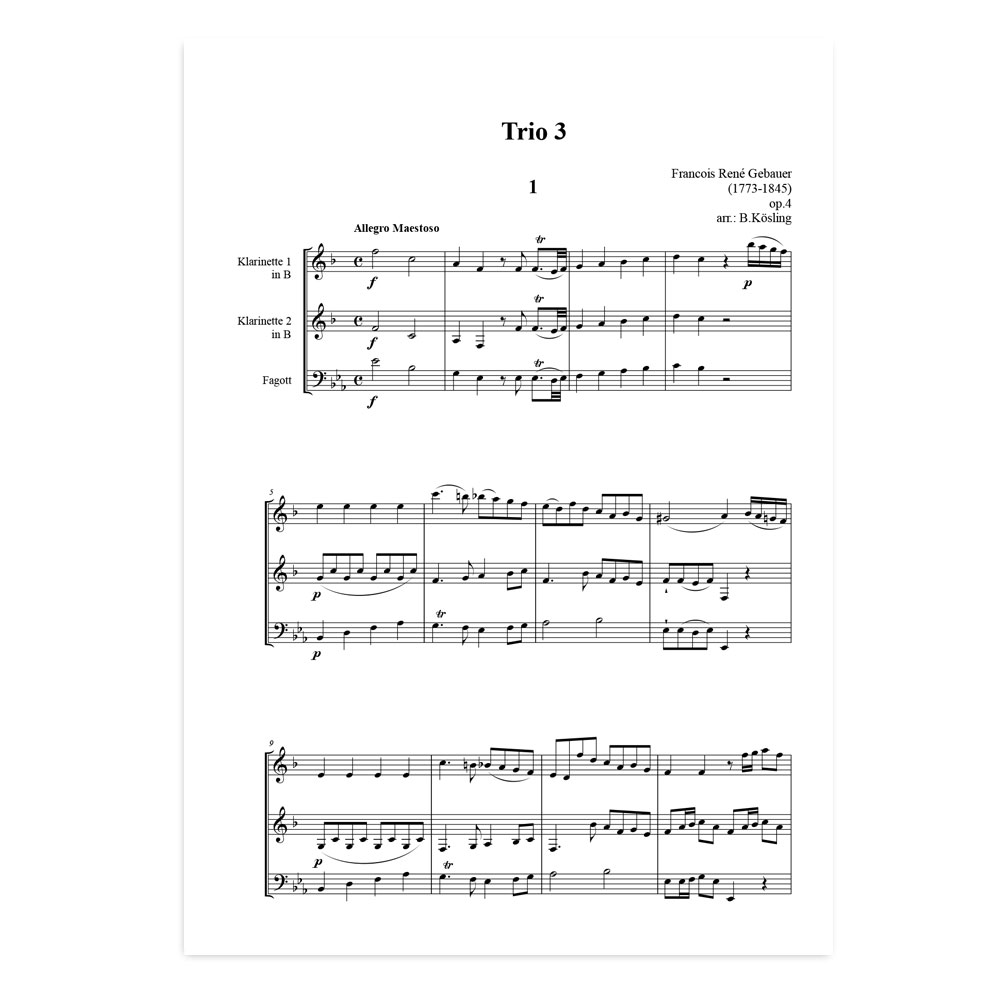 Gebauer-trio-3-01