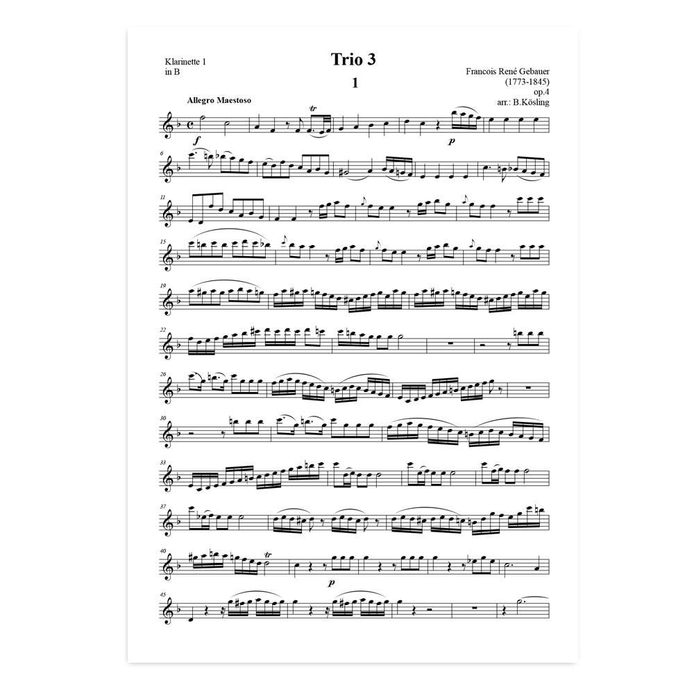 Gebauer-trio-3-02