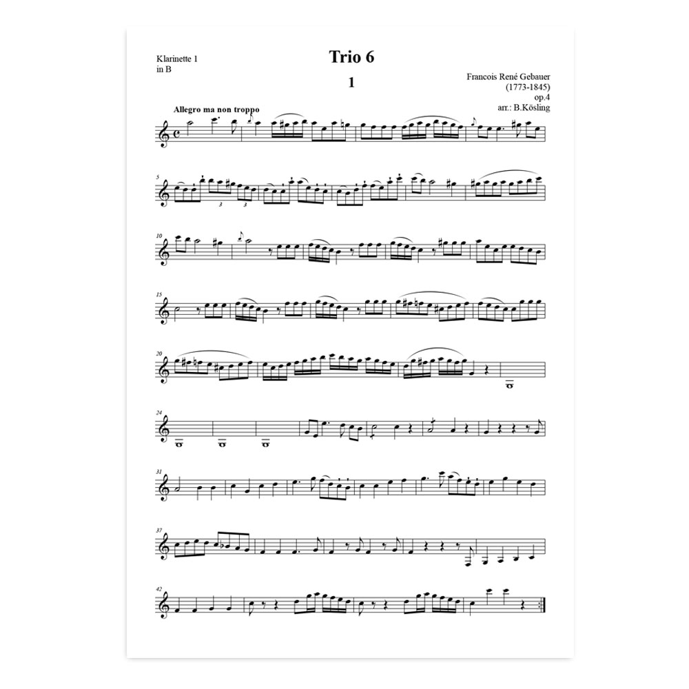 Gebauer-trio-6-02